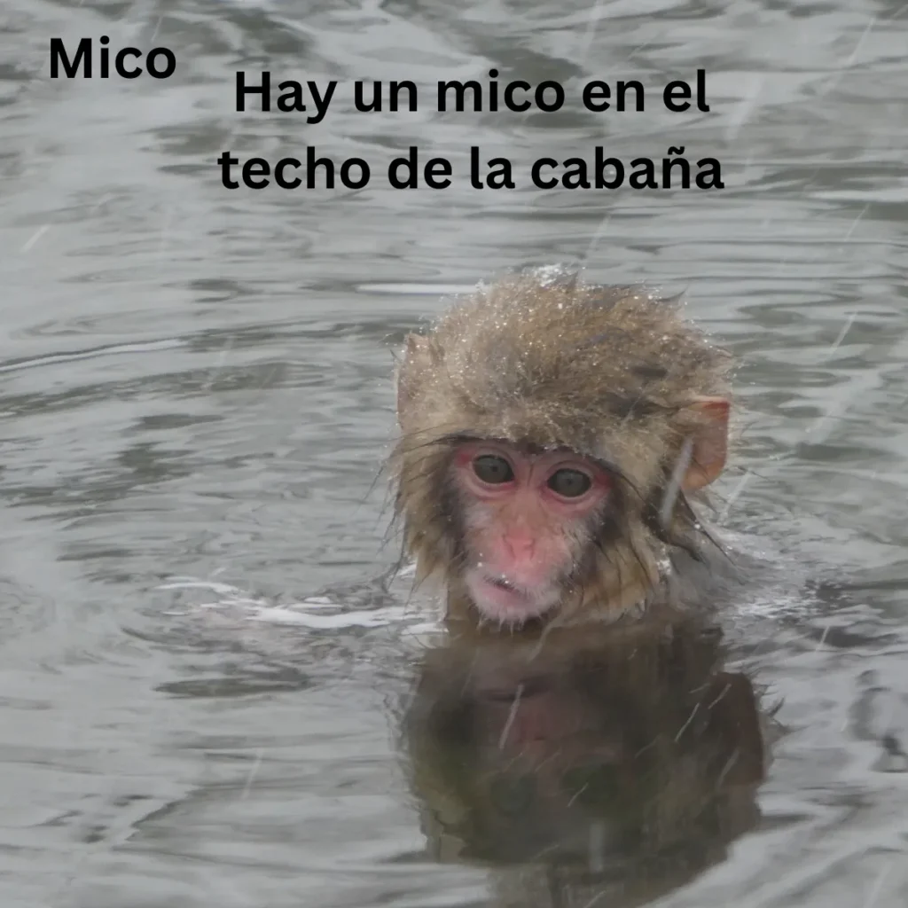 Mico