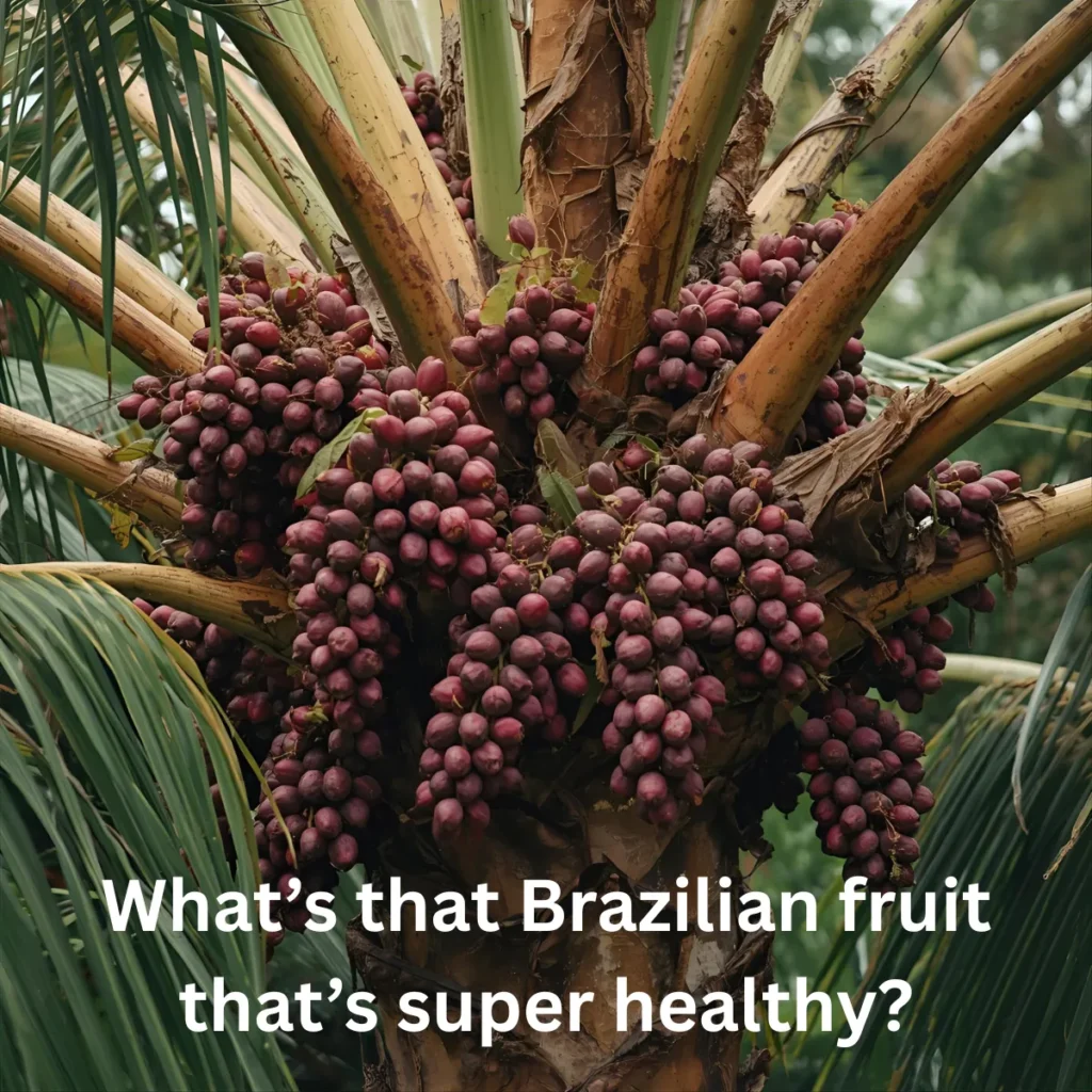 That Brazilian fruit