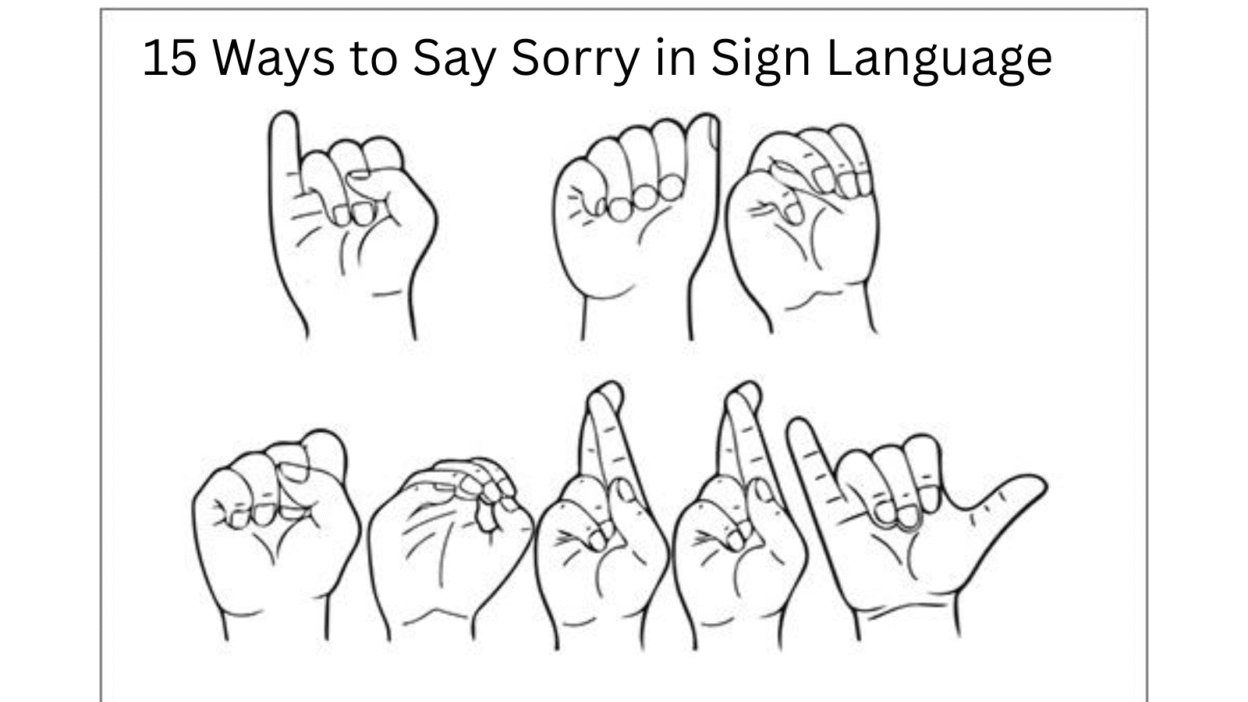 15 Ways to Say Sorry in Sign Language