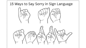 15 Ways to Say Sorry in Sign Language