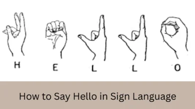 How to Say Hello in Sign Language