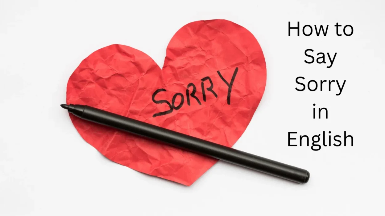 How to Say Sorry in English