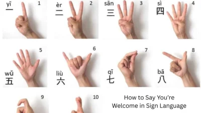 You’re Welcome in Sign Language