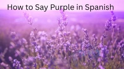 How to Say Purple in Spanish
