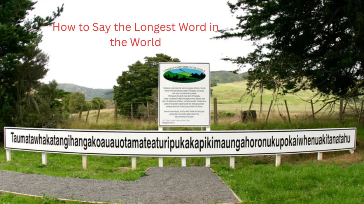 The Longest Word in the World
