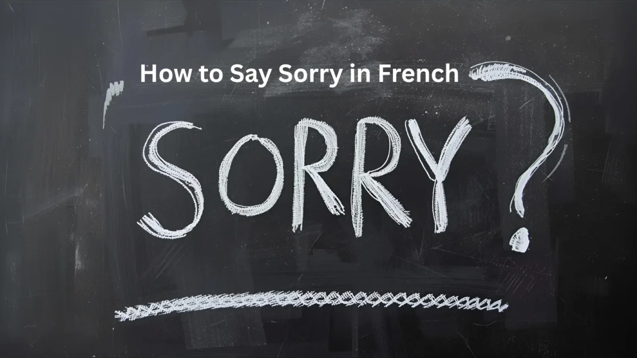 How to Say Sorry in French