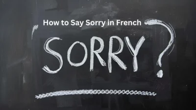 How to Say Sorry in French