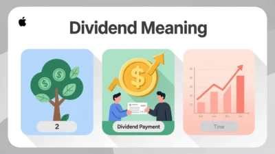 What Does Dividend Mean